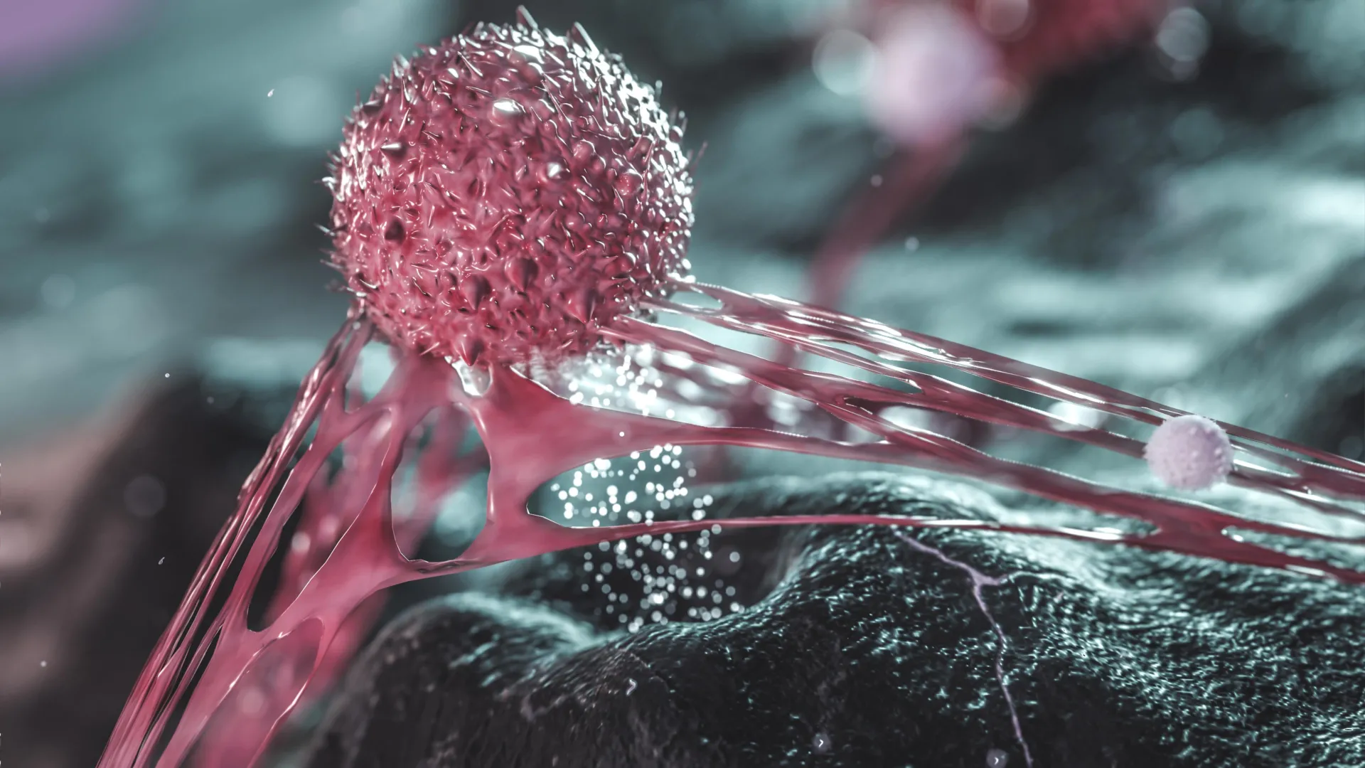 Breaching Tumor Shields: How Dormant Cancer Cells Survive Chemotherapy