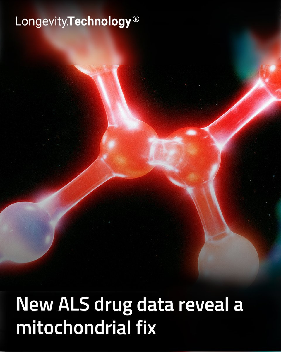 AlphaFold2 Uncovers Hidden Branch of GPCR Family by Structural Shape Alignment