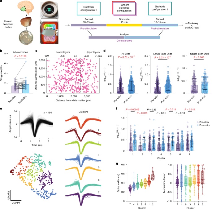 Non-Invasive Deep Brain Stimulation via Temporal Interference