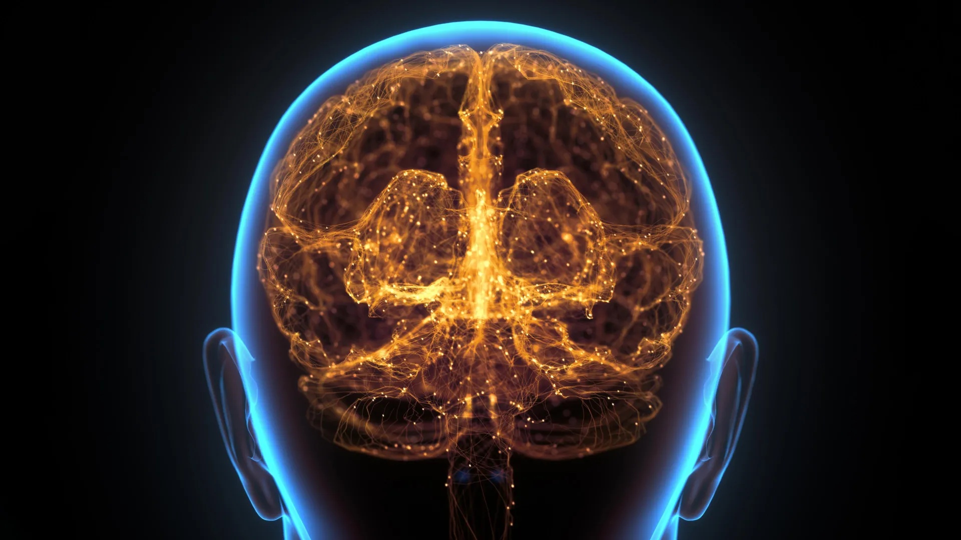 WashU Identifies Skull Bone Marrow Channels as Primary Glioblastoma Ally