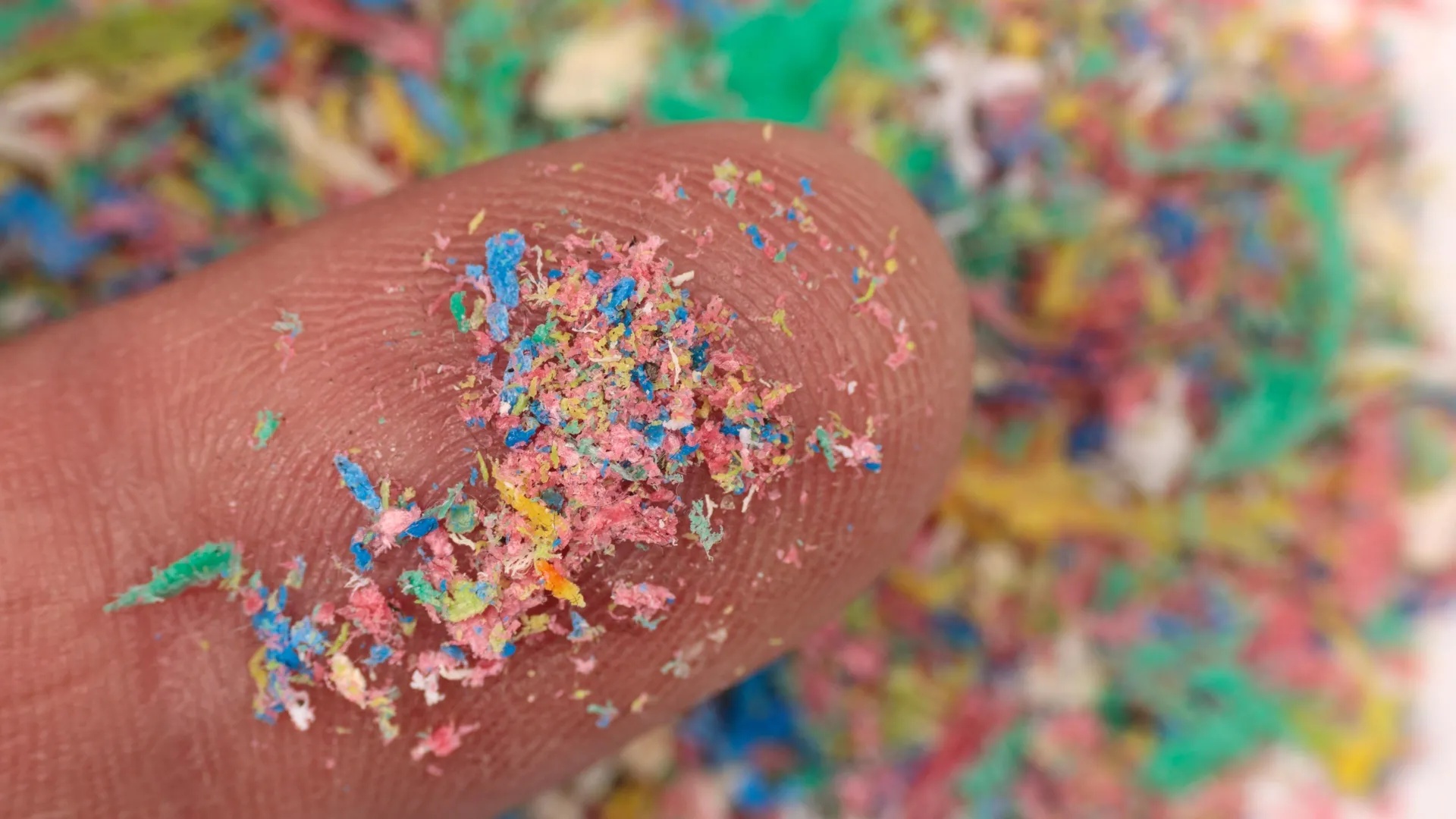 Bio-Detoxification: Engineered Probiotics Purge Nanoplastics
