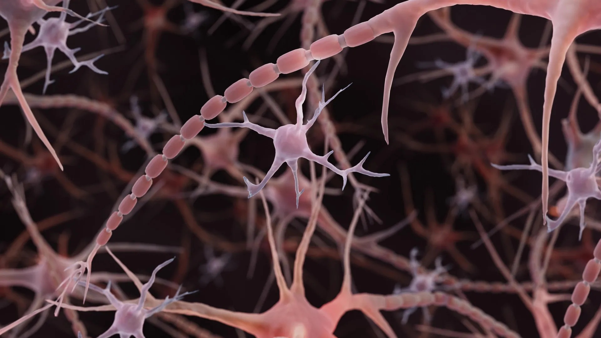 Neuroscience Paradigm Shift: Microglia Gate Neuronal Homeostasis Directly