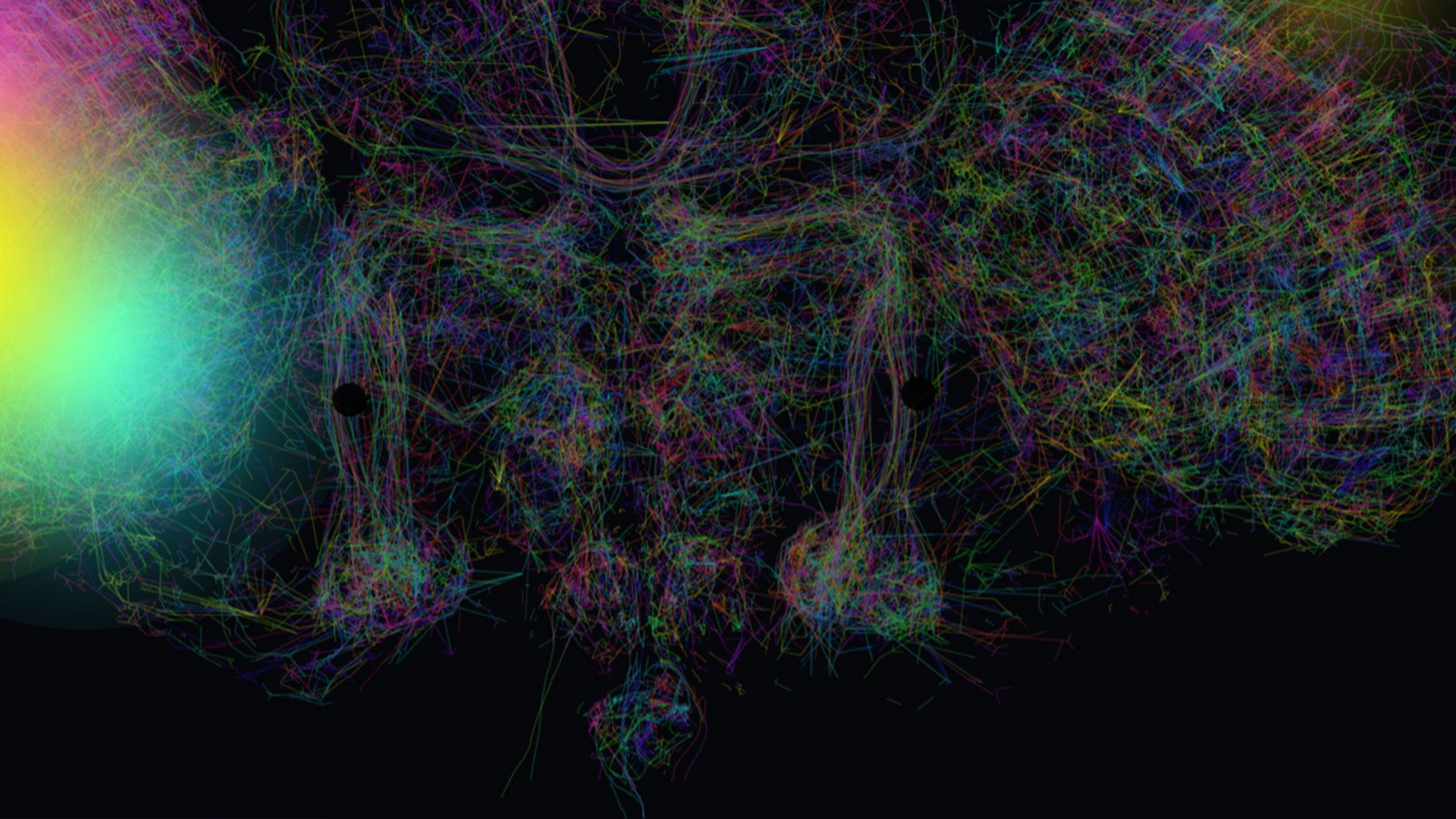 Biomimetic vs Silicon: Fruit Fly Brain Simulation Outperforms 3nm ASICs in Efficiency