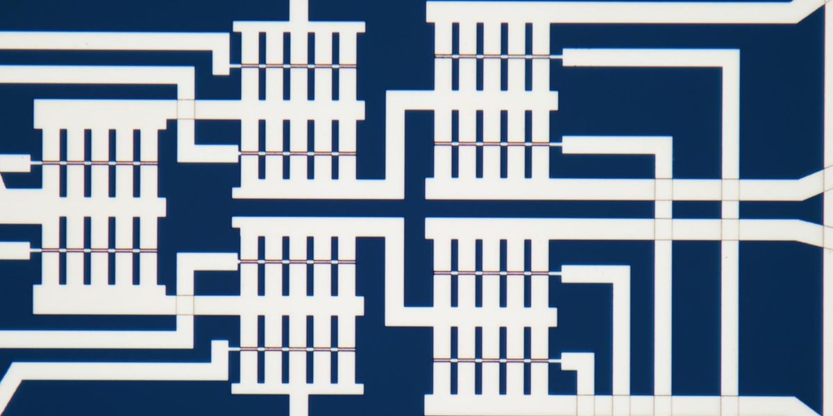 Biomimetic vs Silicon: Fruit Fly Brain Simulation Outperforms 3nm ASICs in Efficiency