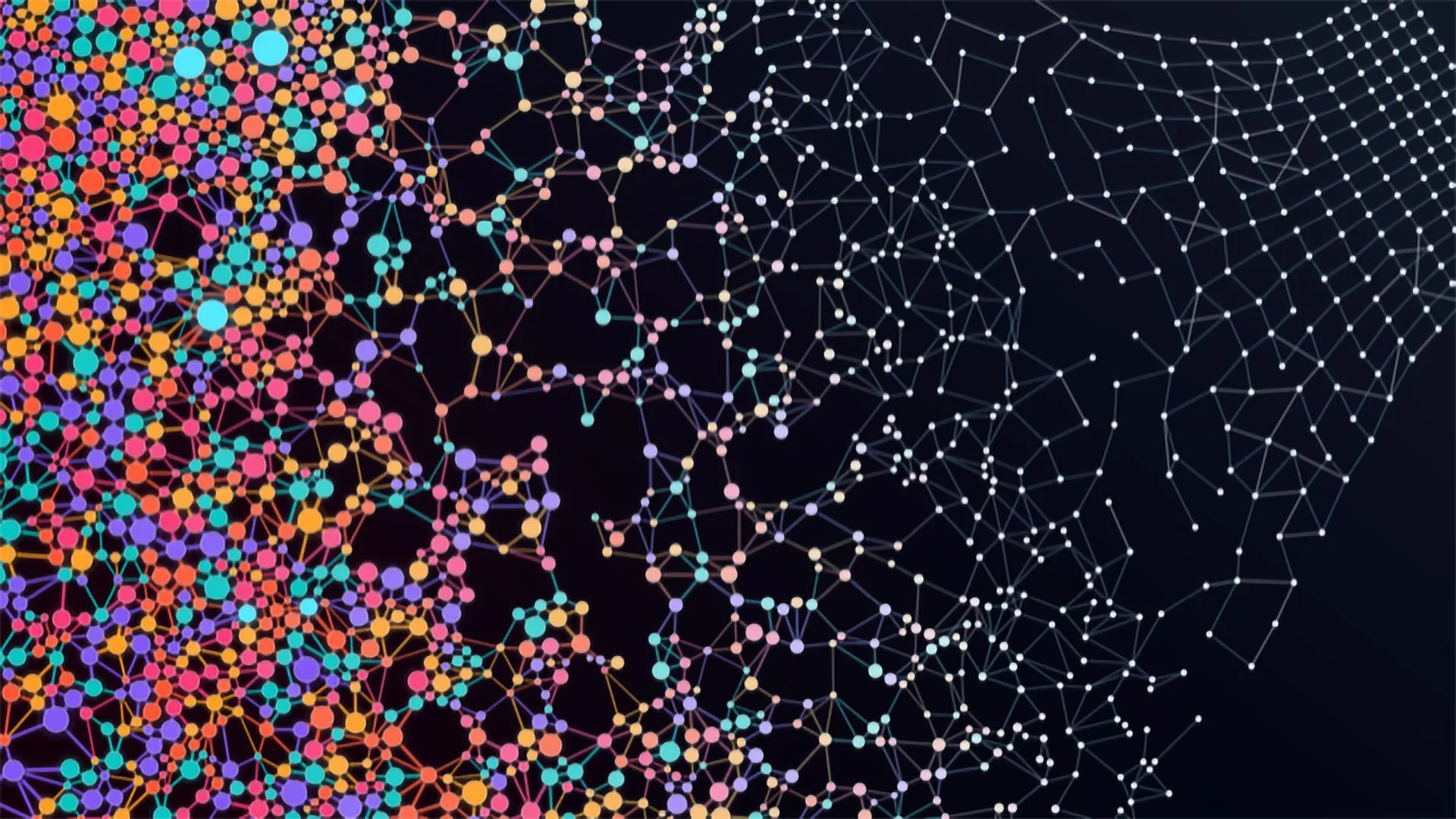 The Efficiency Paradox: Why Hyper-Optimized Biological Networks Face Catastrophic Collapse